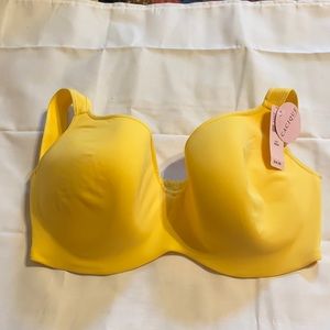 Lane Bryant bra 38DD NWT